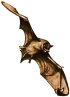 Chauve-souris
