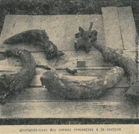 25 mai 1962