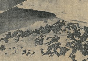 23 aout 1963